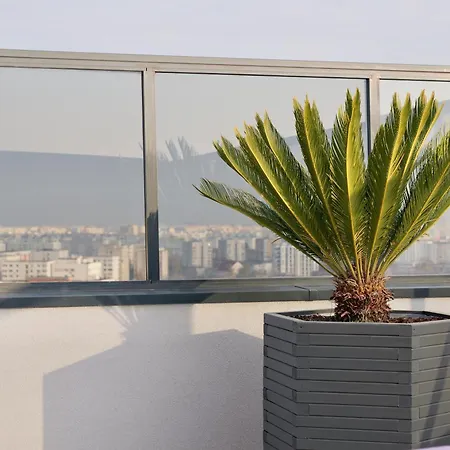 Daire Sky Near Center